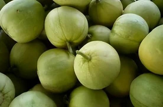 吃甜瓜拉出瓜种子,揭秘吃甜瓜拉出瓜种子的奇妙之旅