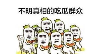 吃瓜群众必须要这样吃,这样吃瓜，才能吃出乐趣与智慧